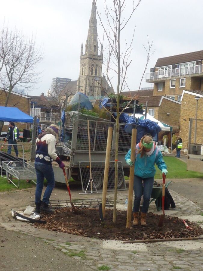 Elf Row Planting Day 2013 with Elvis6